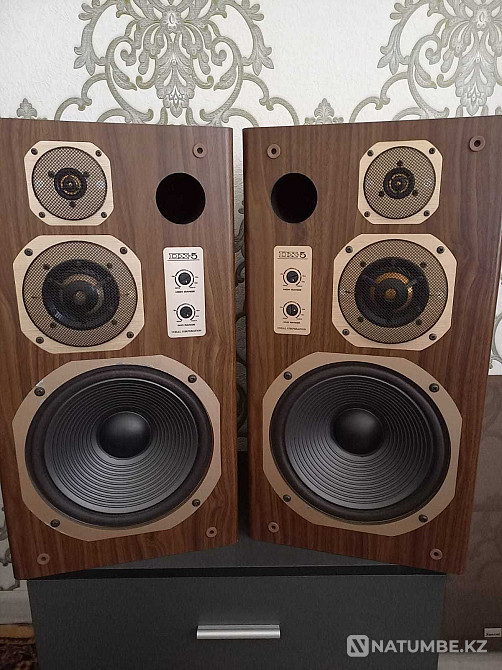 Coral dx5 динамиктері сатылады  Алматы - изображение 1