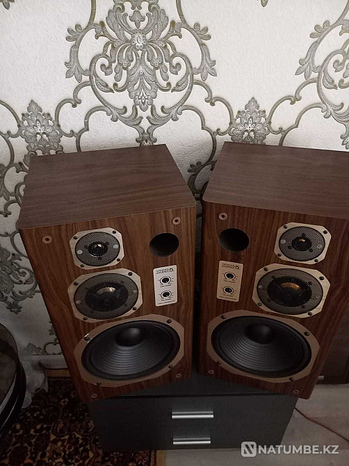 Coral dx5 динамиктері сатылады  Алматы - изображение 2