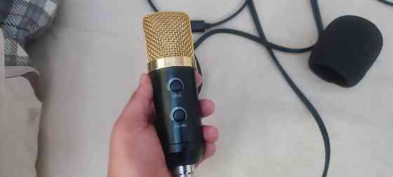Студийный микрофон BM-800 Almaty