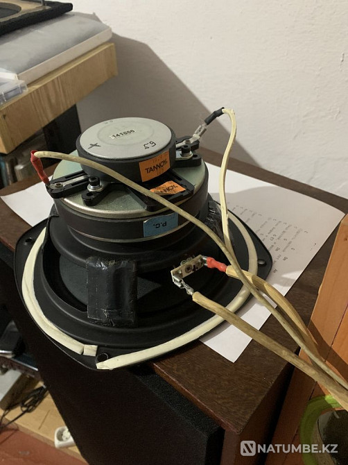 TANNOY спикерлері.  Алматы - изображение 8