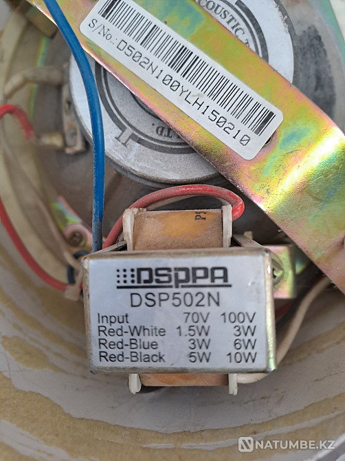 Five speakers Almaty - photo 2