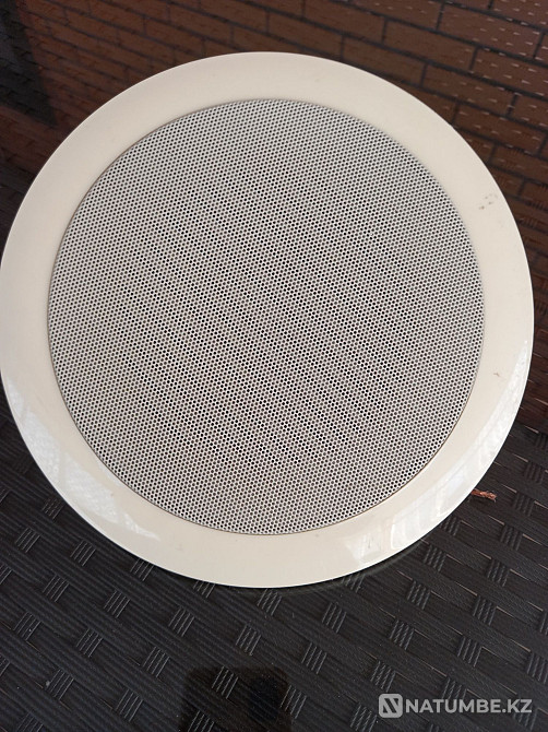 Five speakers Almaty - photo 1