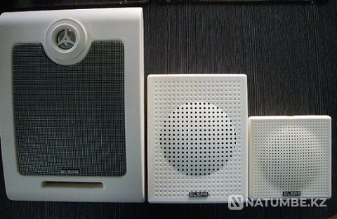 Колонка для систем оповещения и трансляции BGS-603 Алматы - изображение 5