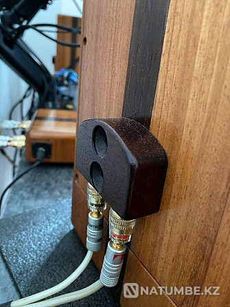 Hi-Fi class acoustic system made of precious wood Almaty - photo 4