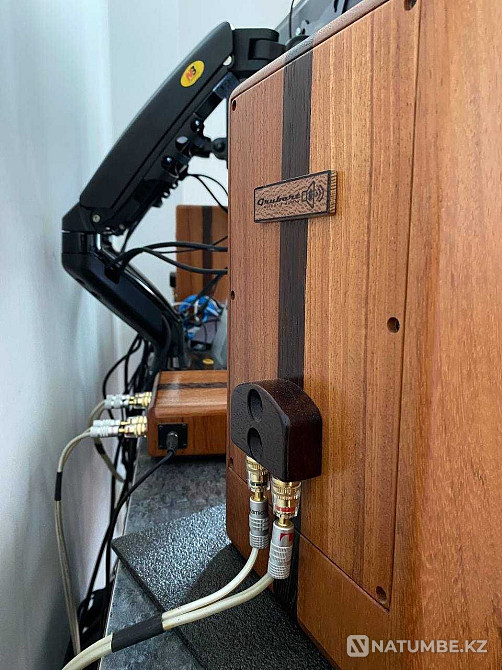Акустическая система Hi-Fi класса из ценных пород дерева Алматы - изображение 6