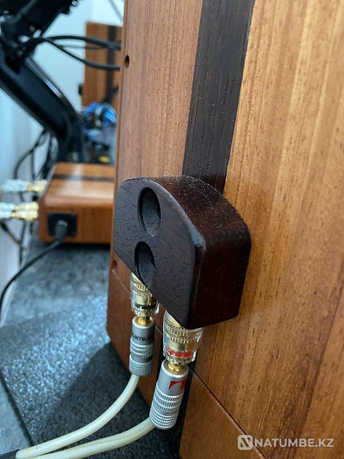 Акустическая система Hi-Fi класса из ценных пород дерева Алматы - изображение 4