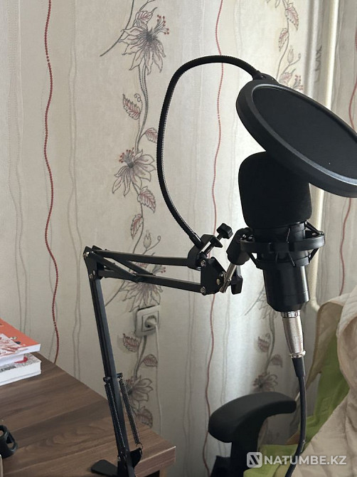 Microphone for studio Almaty - photo 2