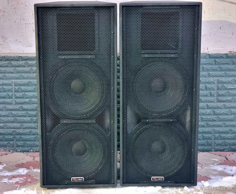 Passive speakers SPECTR-AUDIO SPX-1524 Almaty - photo 1