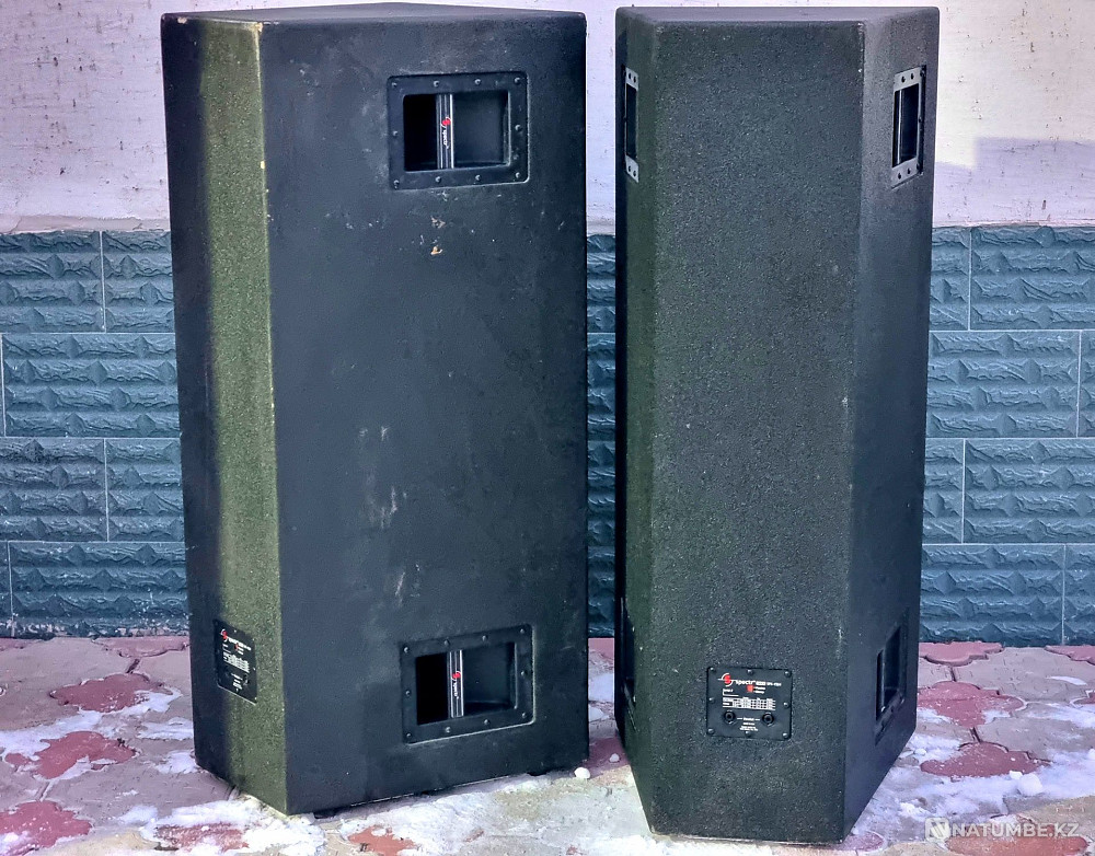 Passive speakers SPECTR-AUDIO SPX-1524 Almaty - photo 2