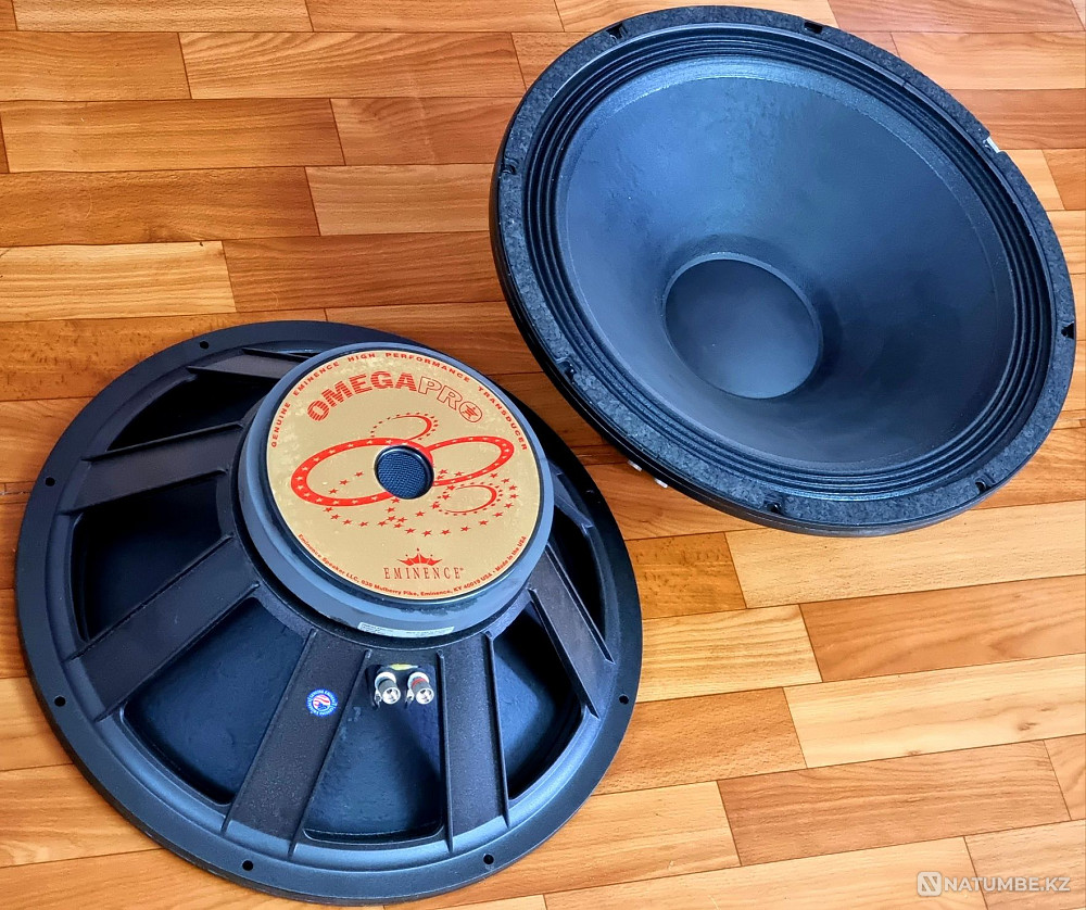Пассивные сабвуферы DYNACORD MT218 Алматы - изображение 4