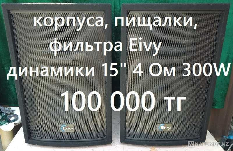 Пара бодрых пятнашек Алматы - изображение 2