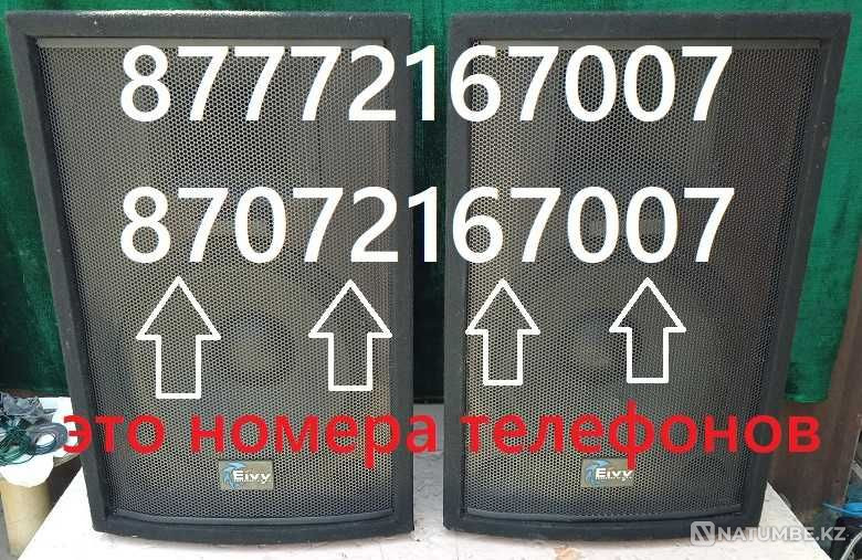 Пара бодрых пятнашек Алматы - изображение 5