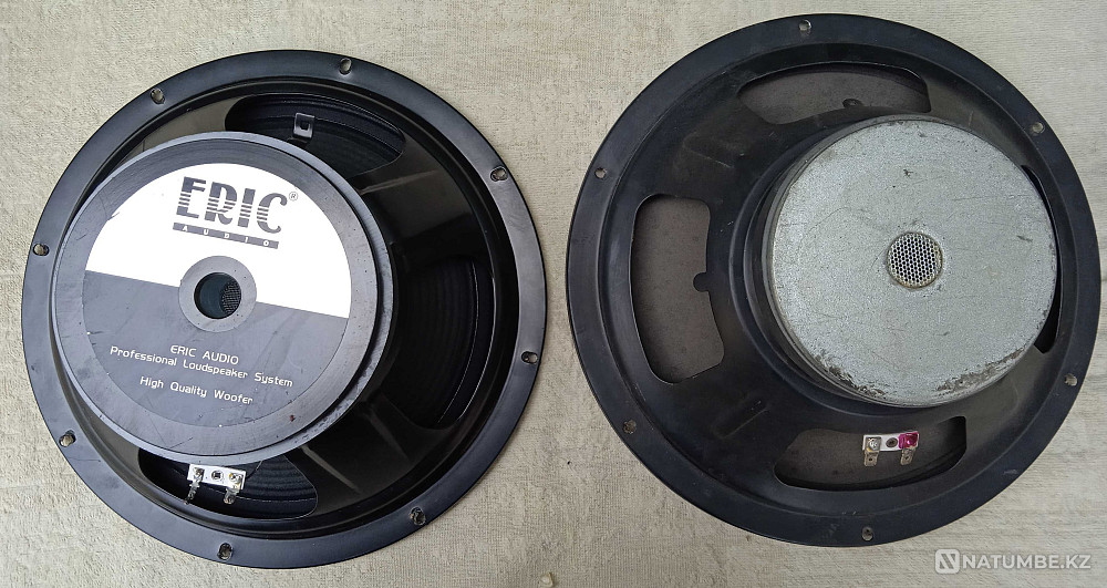 Passive inexpensive 12s Almaty - photo 6