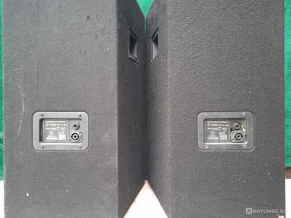 Passive inexpensive 12s Almaty - photo 5