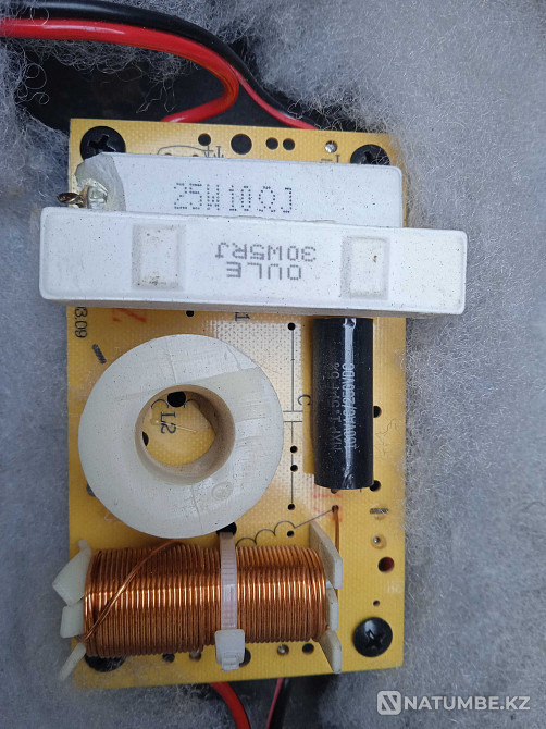 Passive inexpensive 12s Almaty - photo 8