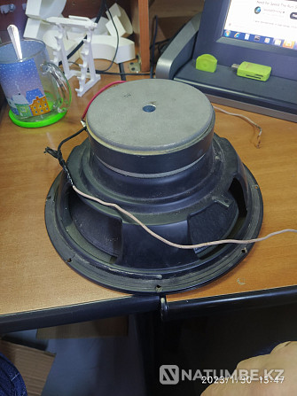 Speaker 30cm 10inch Almaty - photo 3