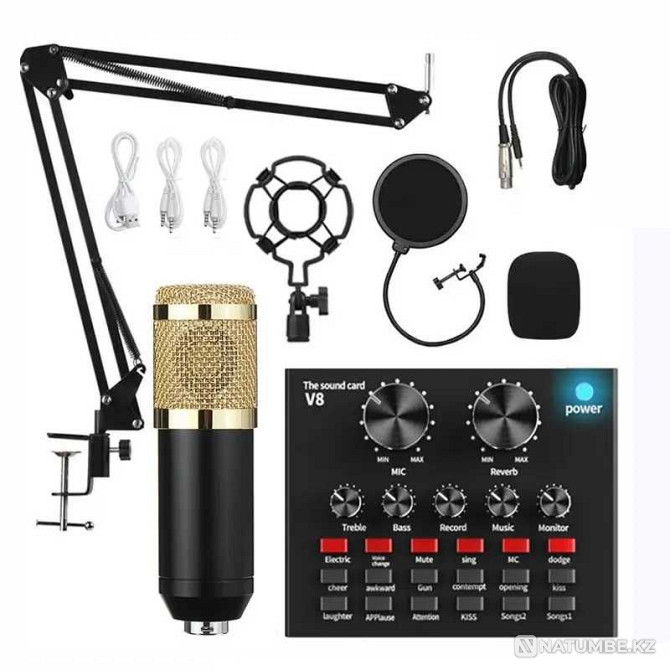 BM800 Professional Condenser Microphone + V8 Sound Card Almaty - photo 1