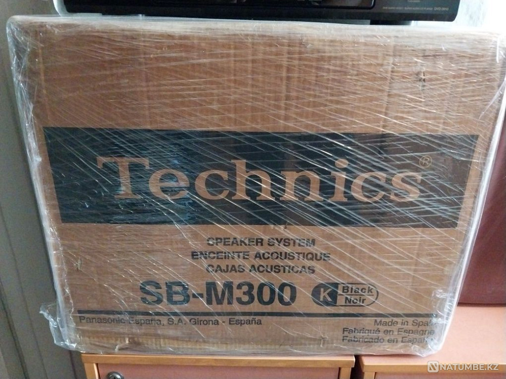 Technics SB-M300 акустическая система Hi-Fi Алматы - изображение 6