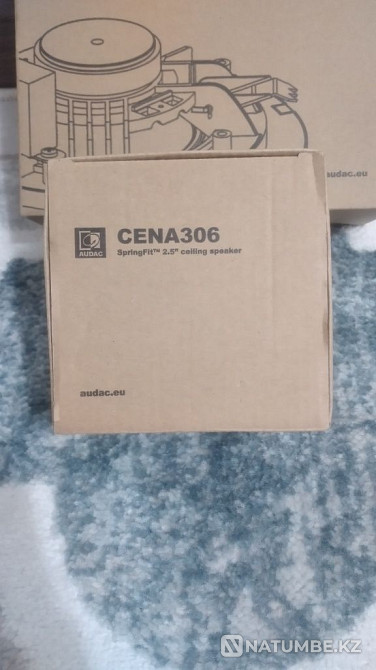 Төбелік динамик Төбелік динамик бағаны  Алматы - изображение 2