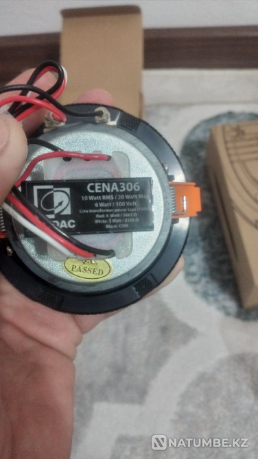 Төбелік динамик Төбелік динамик бағаны  Алматы - изображение 8