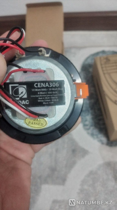 Төбелік динамик Төбелік динамик бағаны  Алматы - изображение 7