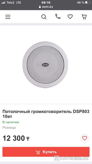 Ceiling loudspeaker Almaty - photo 1