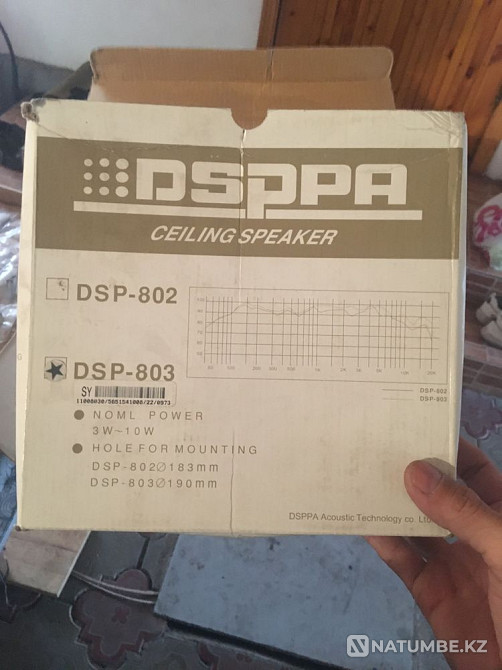Ceiling loudspeaker Almaty - photo 5