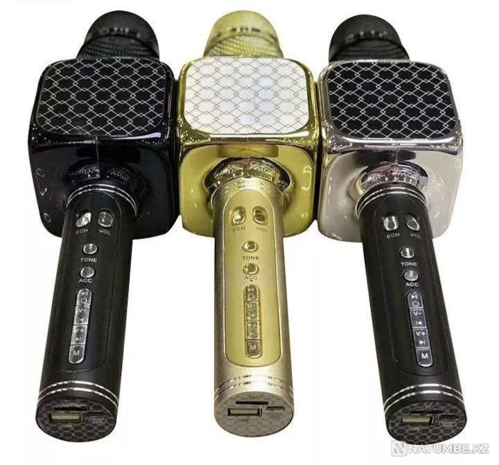 Караоке микрофон YS-69 -5500 Алматы - изображение 2