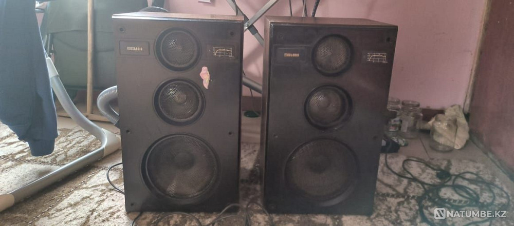 Estonia speakers with amplifier and radio Almaty - photo 3