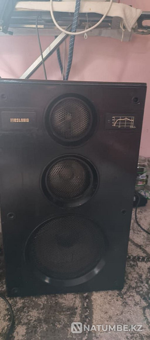 Estonia speakers with amplifier and radio Almaty - photo 4