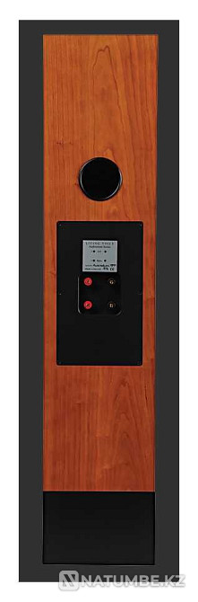 Living Voice. Auditorium II. (England.) Almaty - photo 3