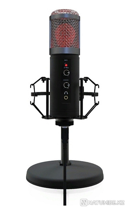 Микрофон настольный Ritmix RDM-260 в отличном состоянии. ТОРГ. Алматы - изображение 2