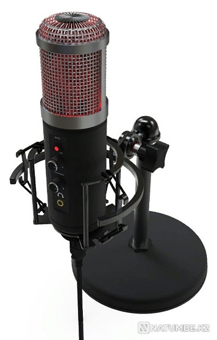 Микрофон настольный Ritmix RDM-260 в отличном состоянии. ТОРГ. Алматы - изображение 1
