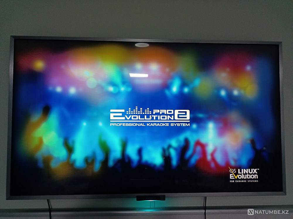 Karaoke system for the common room EvolutionPRO 2 with the latest update Almaty - photo 4