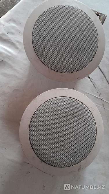 Satylady column Almaty - photo 2