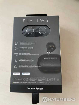 Headphones | Harman Kardon Fly TWS | SEALED| BARGAINING IS APPROPRIATE Almaty - photo 6