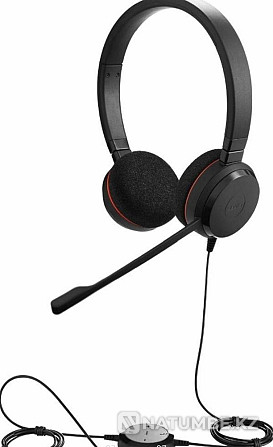 Jabra Evolve 20 MS құлаққаптары  Алматы - изображение 4