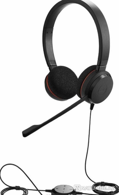 Наушники Jabra Evolve 20 MS Алматы - изображение 4