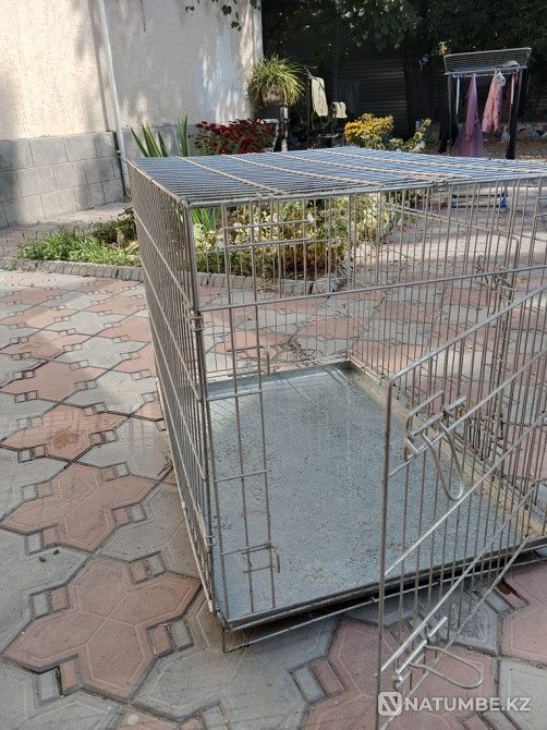 Продам Клетку для перевозки животных Алматы - изображение 1