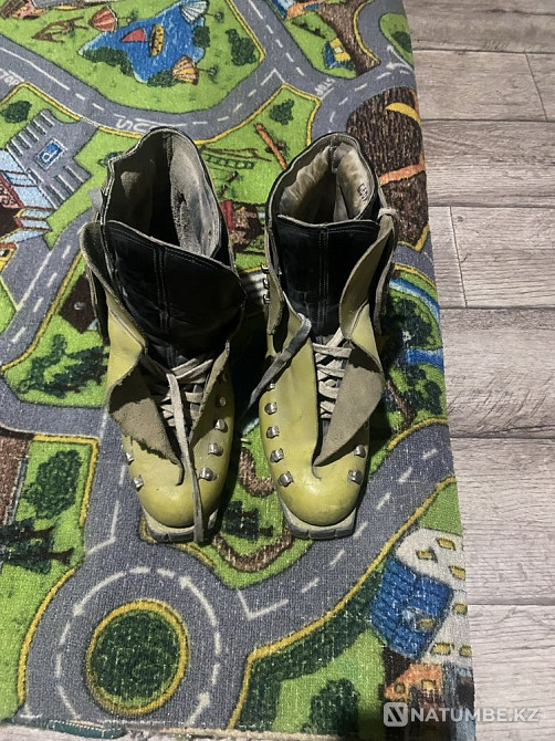 Россинголды жалайды  Алматы - изображение 2