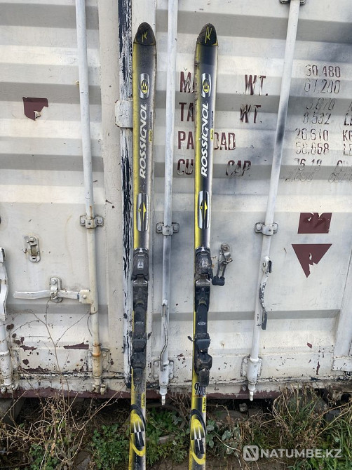 Россинголды жалайды  Алматы - изображение 1