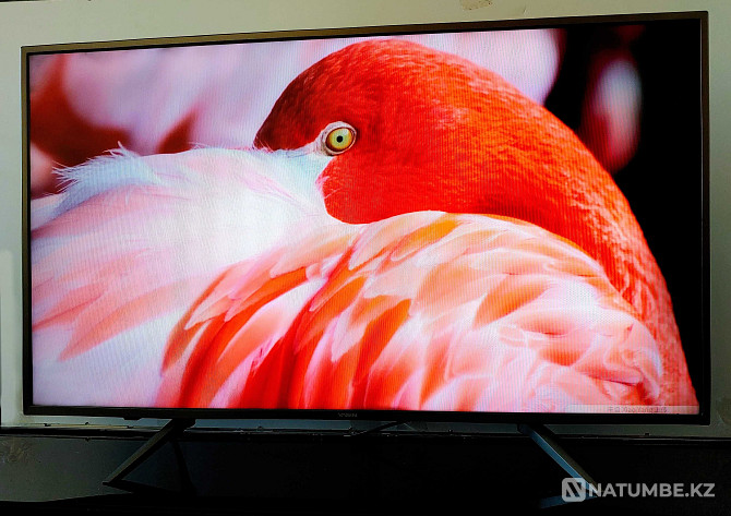 Google Android Smart TV сату; Smart TV диагоналы 102 см  Есіл  - изображение 5