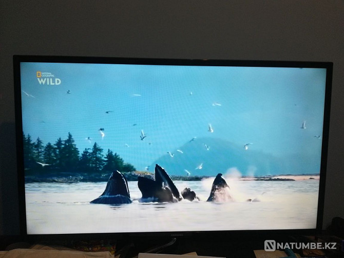 СКД Samsung теледидары 102 см SMART Текелі - изображение 1