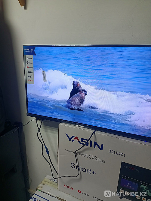 Smart TV; two remote controls included. Usharal - photo 4