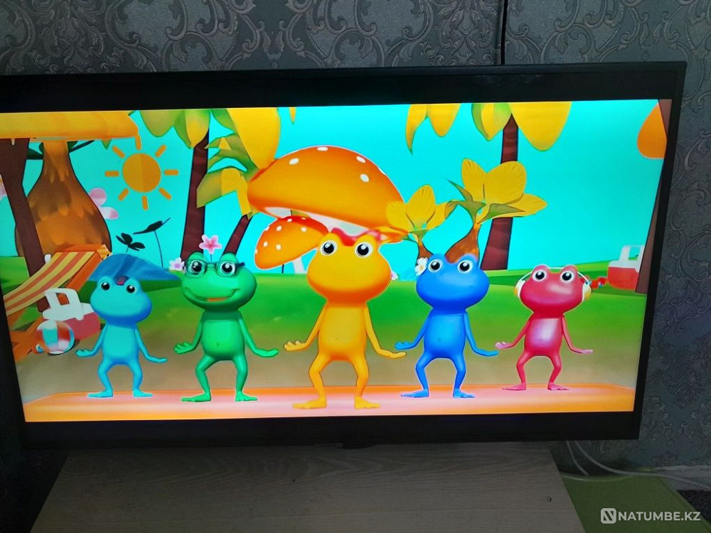 Selling TV Zyryanovsk - photo 2