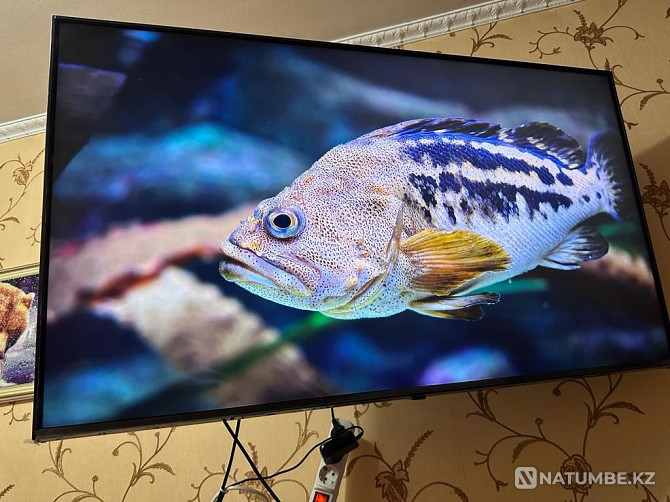 LG Nano Cell smart tvSmart TV for sale! 50nano76 excellent Zyryanovsk - photo 5