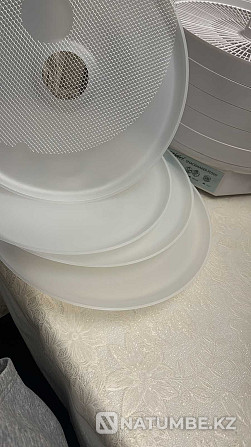 New Dryer Dehydrator Ezidri Snackmaker FD500 Almaty - photo 4