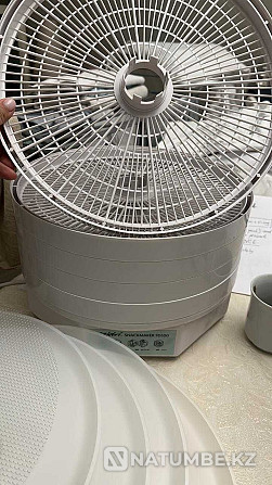 New Dryer Dehydrator Ezidri Snackmaker FD500 Almaty - photo 5