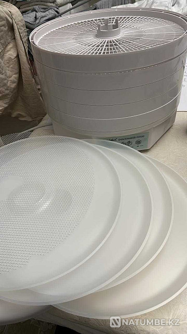 New Dryer Dehydrator Ezidri Snackmaker FD500 Almaty - photo 3