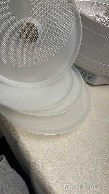 New Dryer Dehydrator Ezidri Snackmaker FD500 Almaty - photo 4